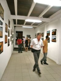Expo Tortues marines de Guyane ; © Musée Départemental