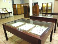 Salle d'entomologie ; © Musée Départemental